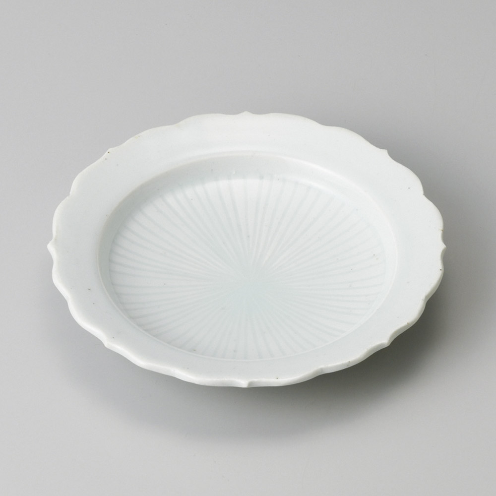 31801-299 / 푸른 흰색 버섯 꽃 접시 / 16×3.2㎝ /  일본그릇